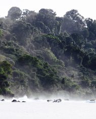 6745cc52bd9e1020ae23551a_banyak-surf-adventure-24